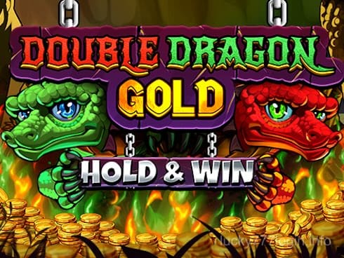 Double Dragon Gold_ Hold and Win Game Image